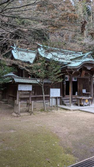 大連神社（赤間神宮境内社）の参拝記録(こまいぬおさん)
