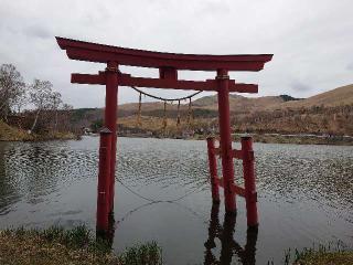 池の平神社の参拝記録(バクちんさん)