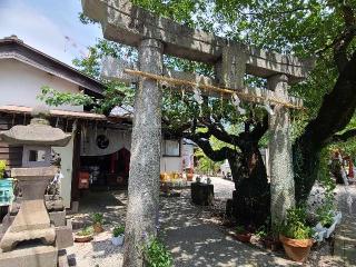山王宮 日吉神社の参拝記録(風祭すぅさん)
