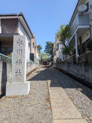 柳沢氷川神社の参拝記録(はくすみさん)