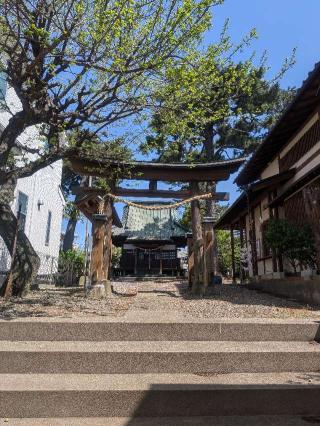 柳沢氷川神社の参拝記録(はくすみさん)