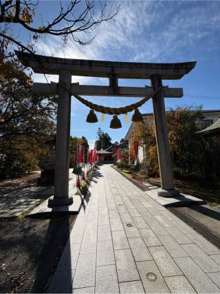 越中稲荷神社の参拝記録(二代目無宿さん)