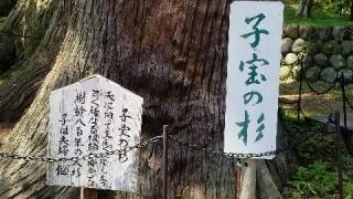 日枝神社の参拝記録(銀玉鉄砲さん)