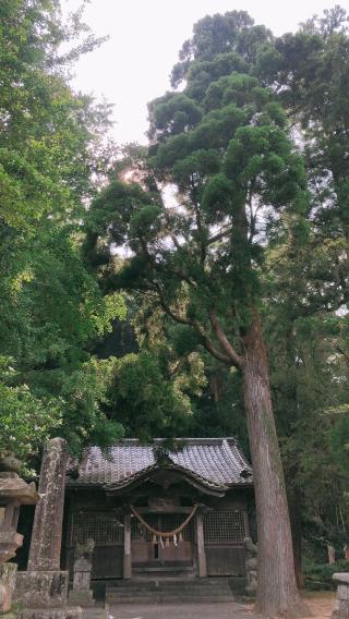 三須神社の参拝記録( 14th moonさん)