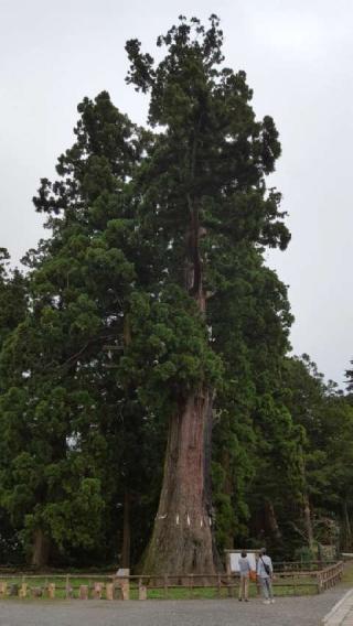 千光山　清澄寺の参拝記録(支那虎さん)
