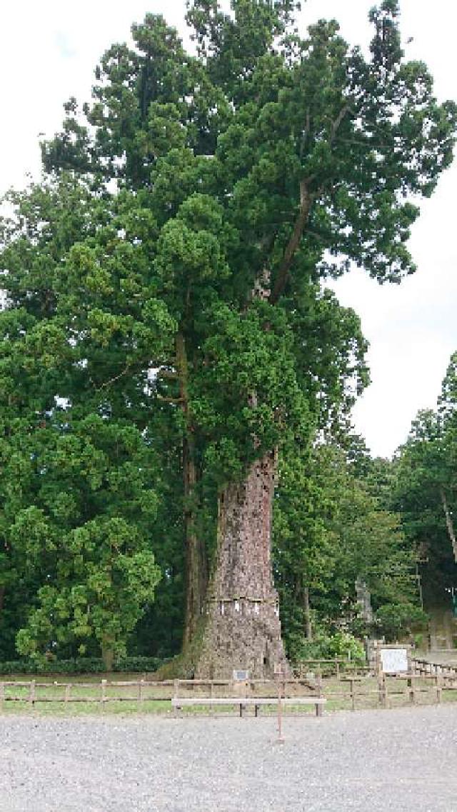 千葉県鴨川市清澄322-1 千光山　清澄寺の写真7