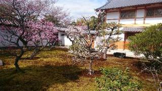 相国寺塔頭 豊光寺の参拝記録(大下勇次さん)