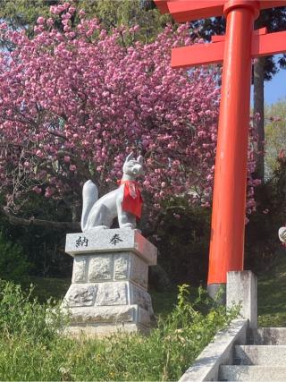 高屋敷稲荷神社の参拝記録(りんさん)