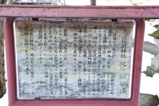 赤沼稲荷神社の参拝記録(黒猫さん)