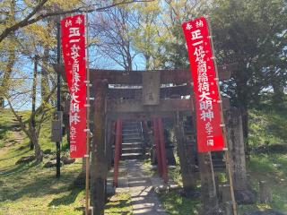 笠間稲荷神社の参拝記録(さくらもちさん)