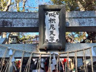 成田山出世稲荷大明神（咤枳尼天堂）の参拝記録(まーさんさん)