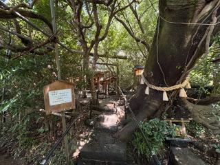 八大龍王水神社の参拝記録(いけさん)