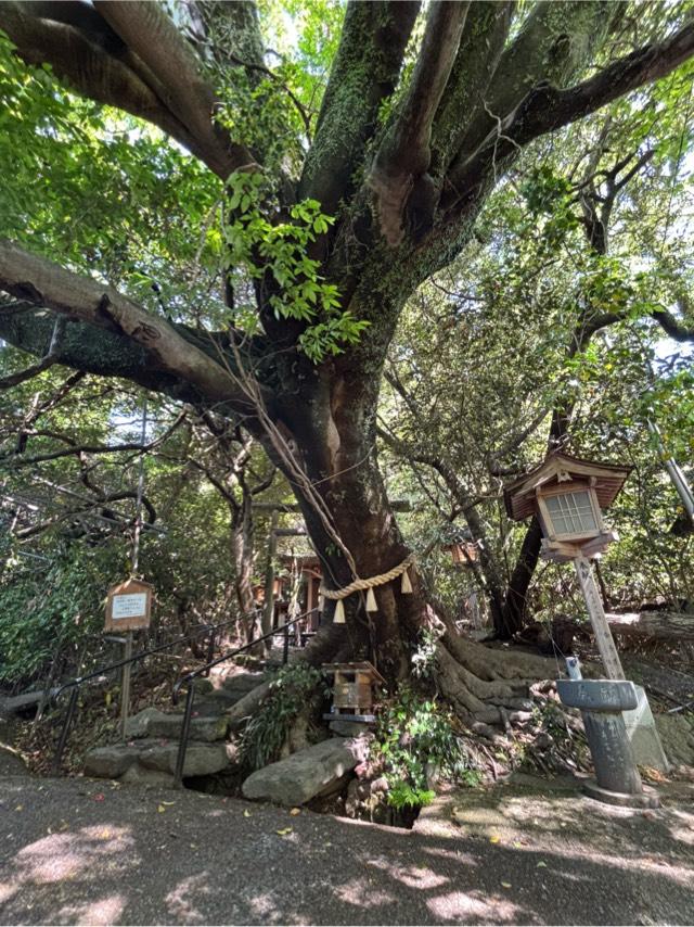 八大龍王水神社の参拝記録8
