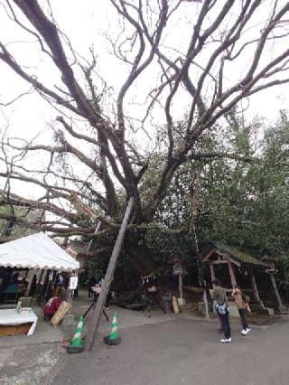 八大龍王水神社の参拝記録(まささん)