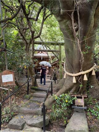 八大龍王水神社の参拝記録(QQQさん)