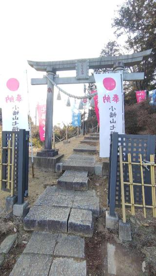 小幡山七福神神社の参拝記録(ステイさん)