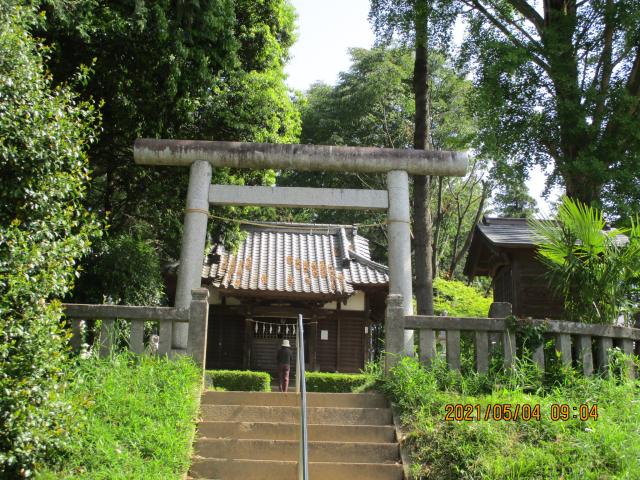 埼玉県東松山市東平1006 熊野神社の写真2