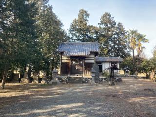 八幡神社（吉見町中曽根）の参拝記録(レモンサワーさん)