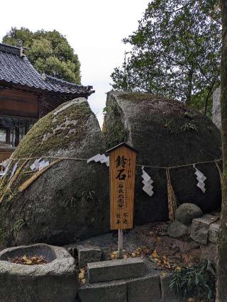 荘八幡神社の参拝記録(こまいぬおさん)