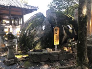 荘八幡神社の参拝記録(いたりんさん)