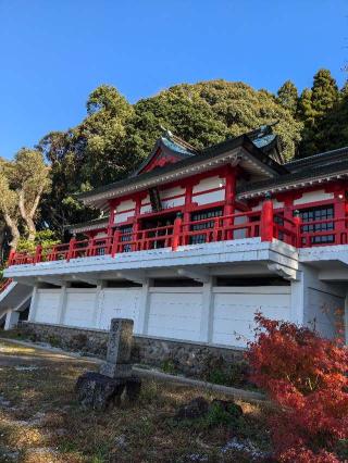須賀神社の参拝記録(こまいぬおさん)