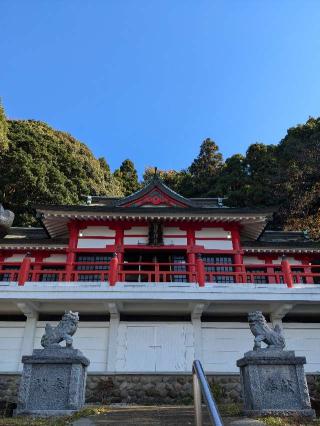 須賀神社の参拝記録(こまいぬおさん)