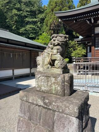 落合白山神社の参拝記録(⛩️🐉🐢まめ🐢🐉⛩️さん)