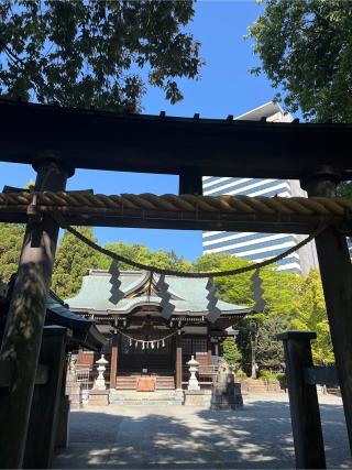 落合白山神社の参拝記録(⛩️🐉🐢まめ🐢🐉⛩️さん)