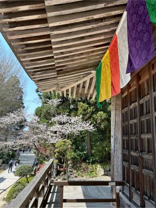 根本中堂（立石寺）の参拝記録(ふうりんパパさん)