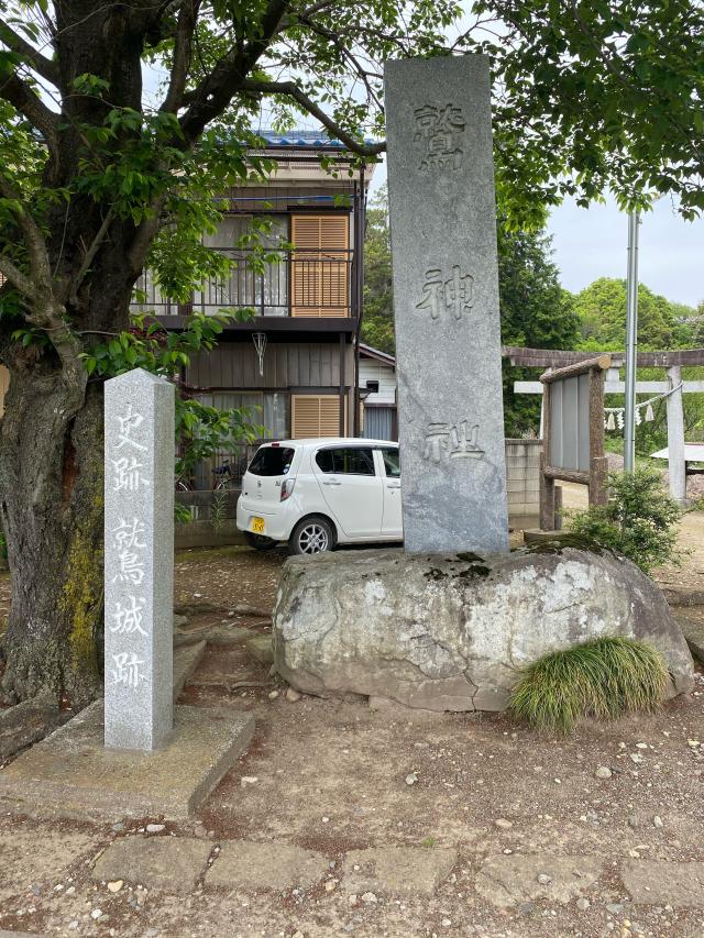 栃木県小山市外城272 鷲神社の写真2