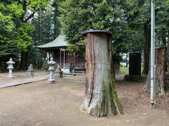 栃木県小山市外城272 鷲神社の写真9
