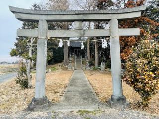 八幡神社（吉見町荒子）の参拝記録(shikigami_hさん)