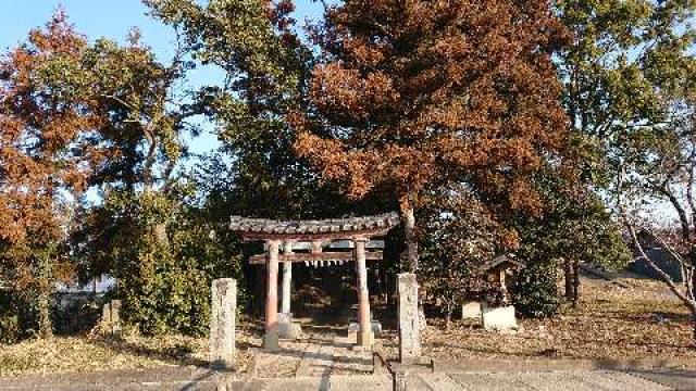 埼玉県吉見町万光寺82 氷川神社の写真1