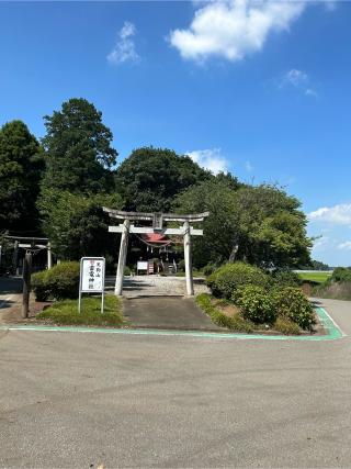 天狗山雷電神社の参拝記録(ミンコさん)