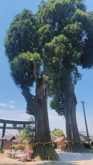 興玉神社の参拝記録( 14th moonさん)