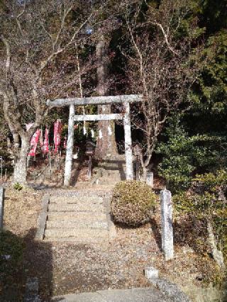 鹿島大神宮の参拝記録(ゆうじさん)