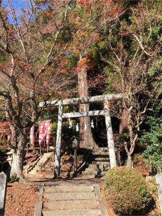 鹿島大神宮の参拝記録(ツガルさん)