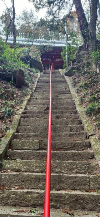 日枝神社の参拝記録(®️さん)