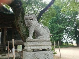 三島神社の参拝記録(飛成さん)