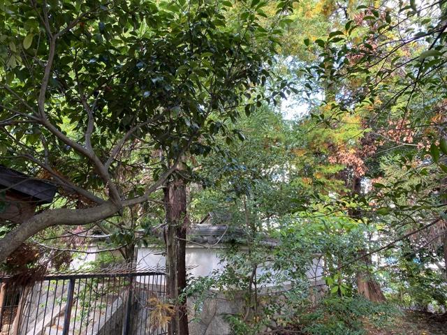 他田坐天照御魂神社の参拝記録4