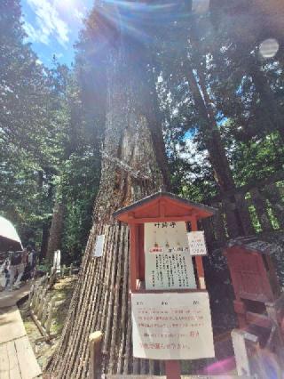日光東照宮奥宮の参拝記録(まーさんさん)