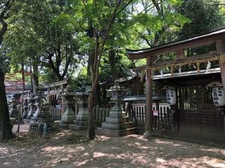 比賣神社(日根神社境内社)の参拝記録(KUMIKOさん)