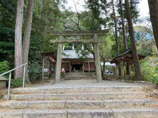 松尾山神社の参拝記録(まついちさん)