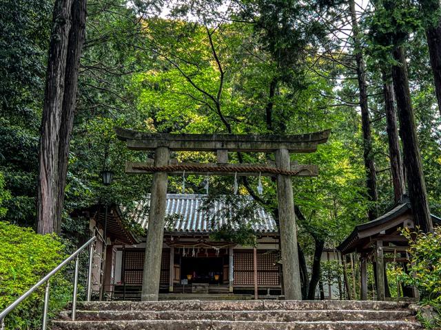 松尾山神社の参拝記録3