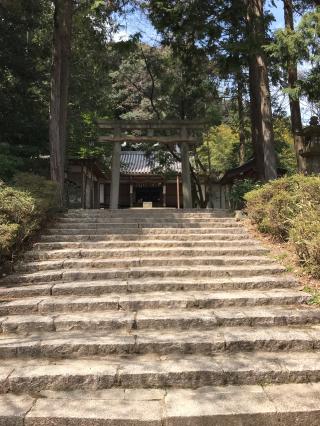 松尾山神社の参拝記録(カンちゃんさん)