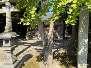倭恩智神社の参拝記録(多聞丸さん)
