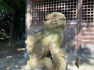 倭恩智神社の参拝記録(多聞丸さん)