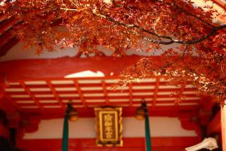 瑜伽神社の参拝記録(のぶちゃんさん)