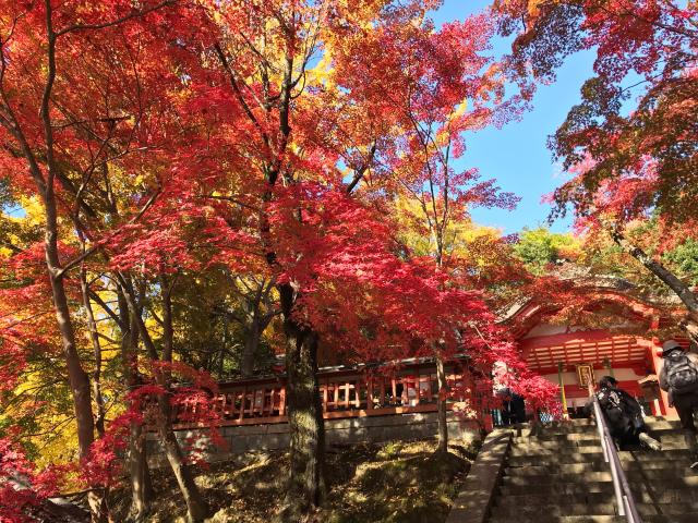 瑜伽神社の参拝記録3