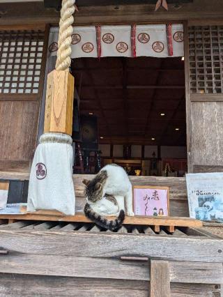 摩利支神社の参拝記録(こまいぬおさん)